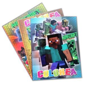 Libro Minecraft
